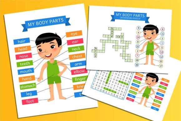 My Body Parts – Printable Learning Cards