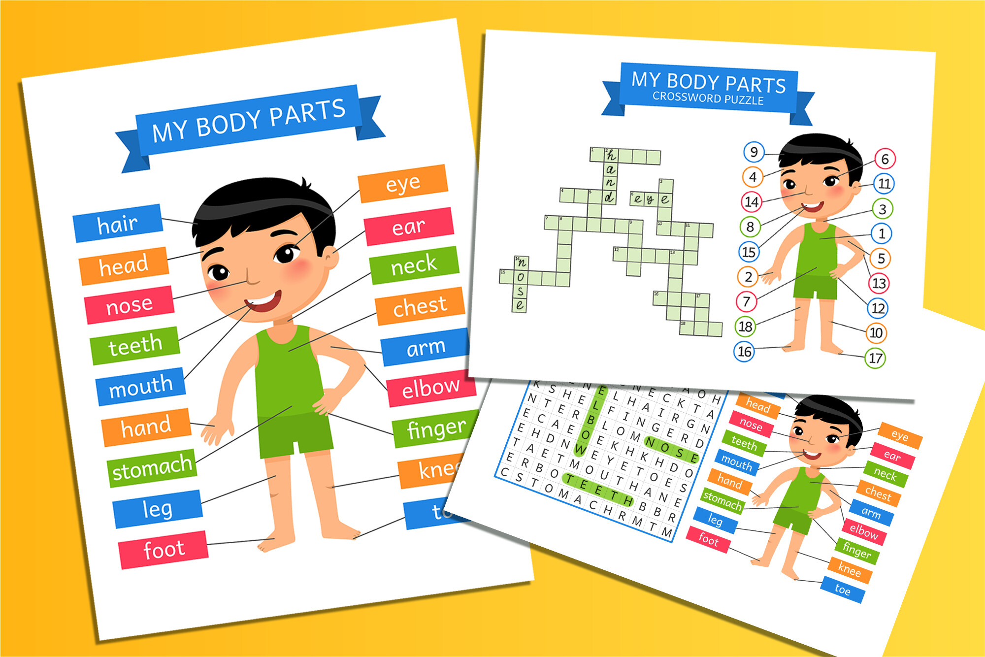 My Body Parts – Printable Learning Cards