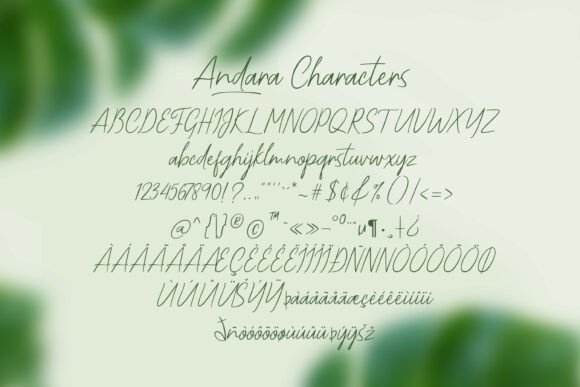 Andara Font - Preview 4
