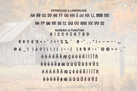 Autumn Farmhouse Font - Preview 6