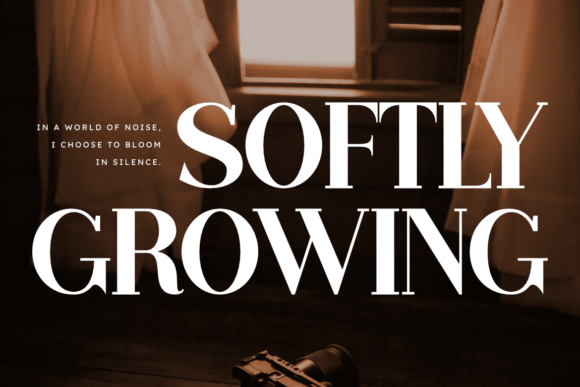 Belleva Font - Preview 5