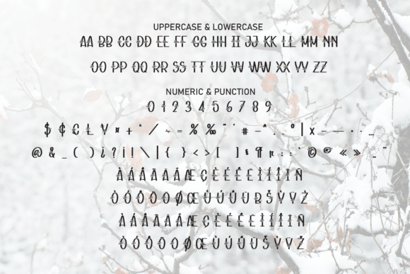 Flower Snowing Font - Preview 6