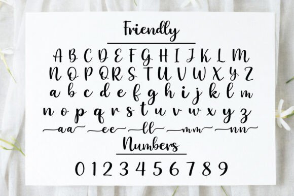 Friendly Font - Preview 1