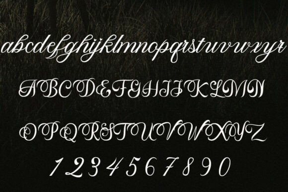 Jenita Font PNG with transparent background - Preview 6