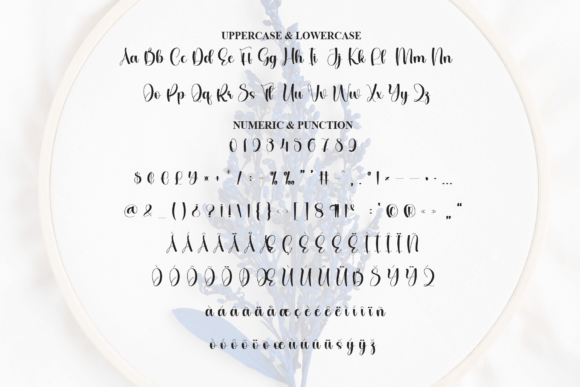 Procreate Embroidery Font PNG with transparent background - Preview 6