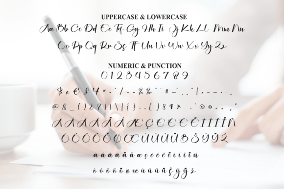 Catalina Signature Font - Preview 6