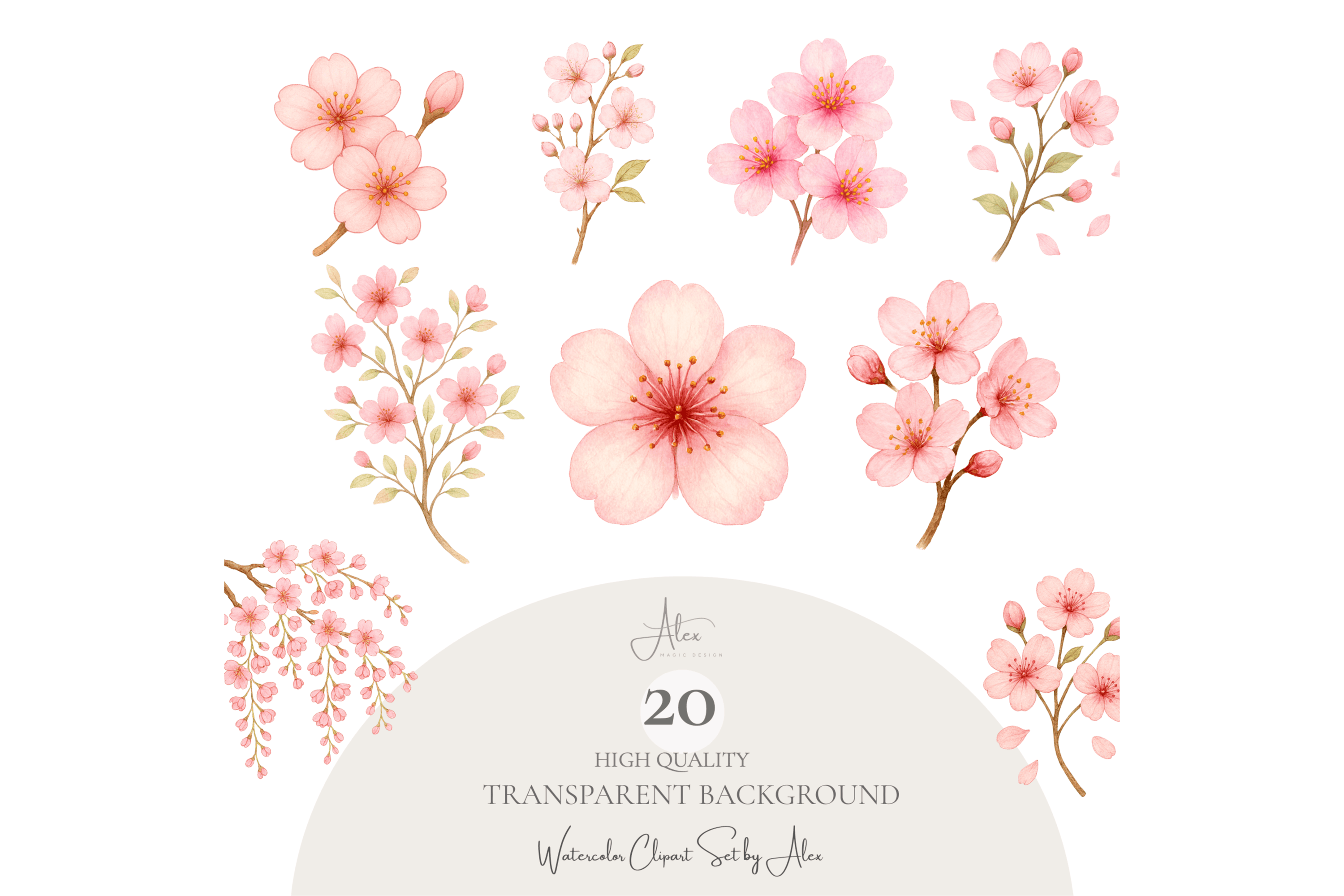 Cherry Blossom Clipart Set PNG Graphic by patipaintsco · Creative Fabrica