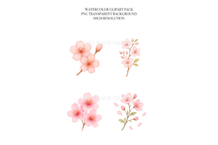 Cherry Blossom Clipart Set PNG Graphic by patipaintsco · Creative Fabrica