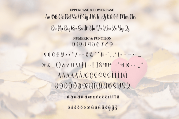 Autumn Valentines Font - Preview 6