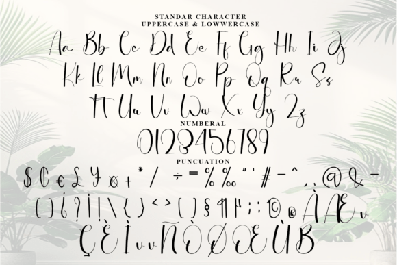 Bridgetown Font - Preview 5