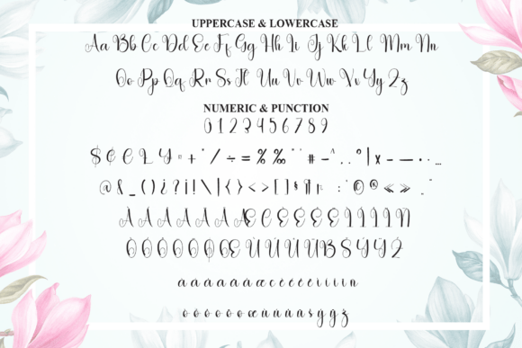 Clarity Font - Preview 6