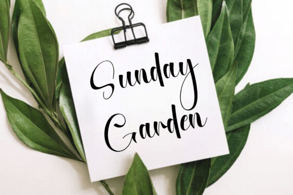 Greeting Font - Preview 4