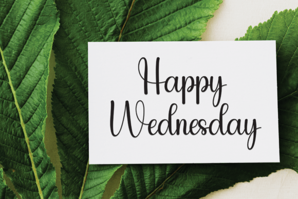 Nature Embroidery Font PNG with transparent background - Preview 2