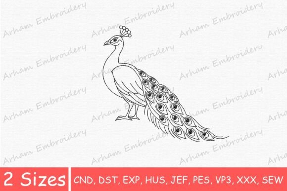 Peacock Bird