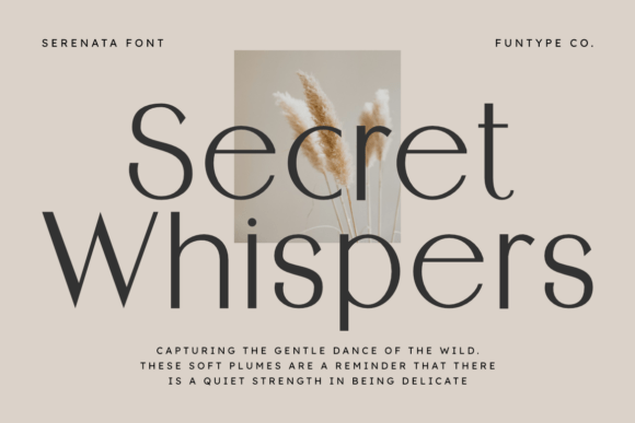 Serenata Font font preview - 4