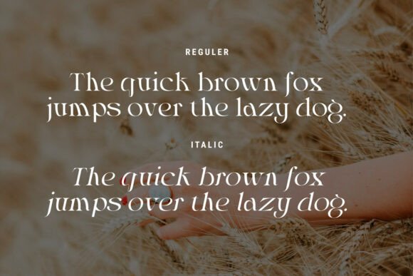 Almost Serious Font - Preview 4