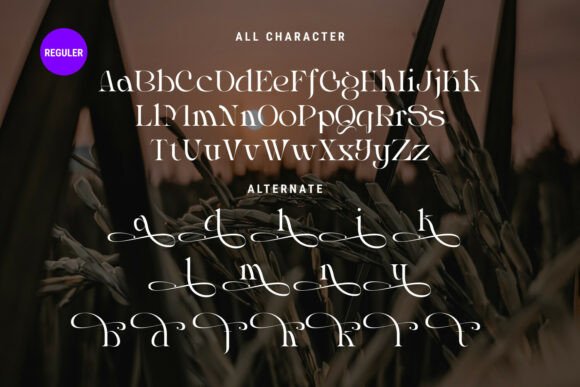 Almost Serious Font - Preview 5