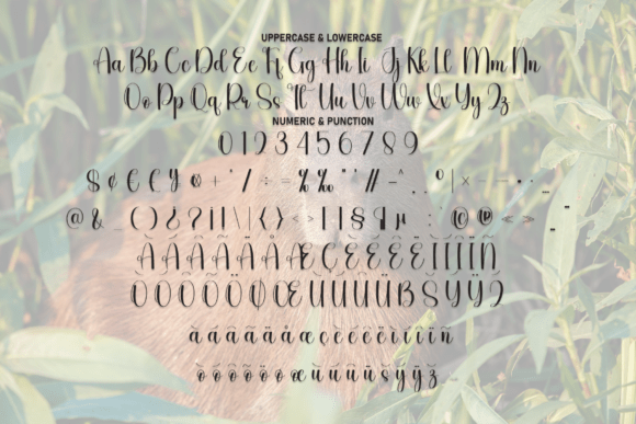 Capybara Font - Preview 6