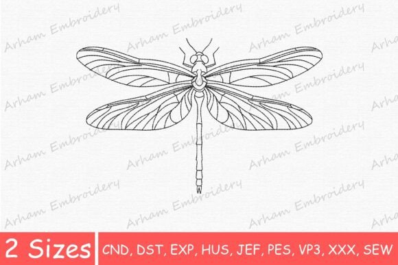 Elegant Dragonfly