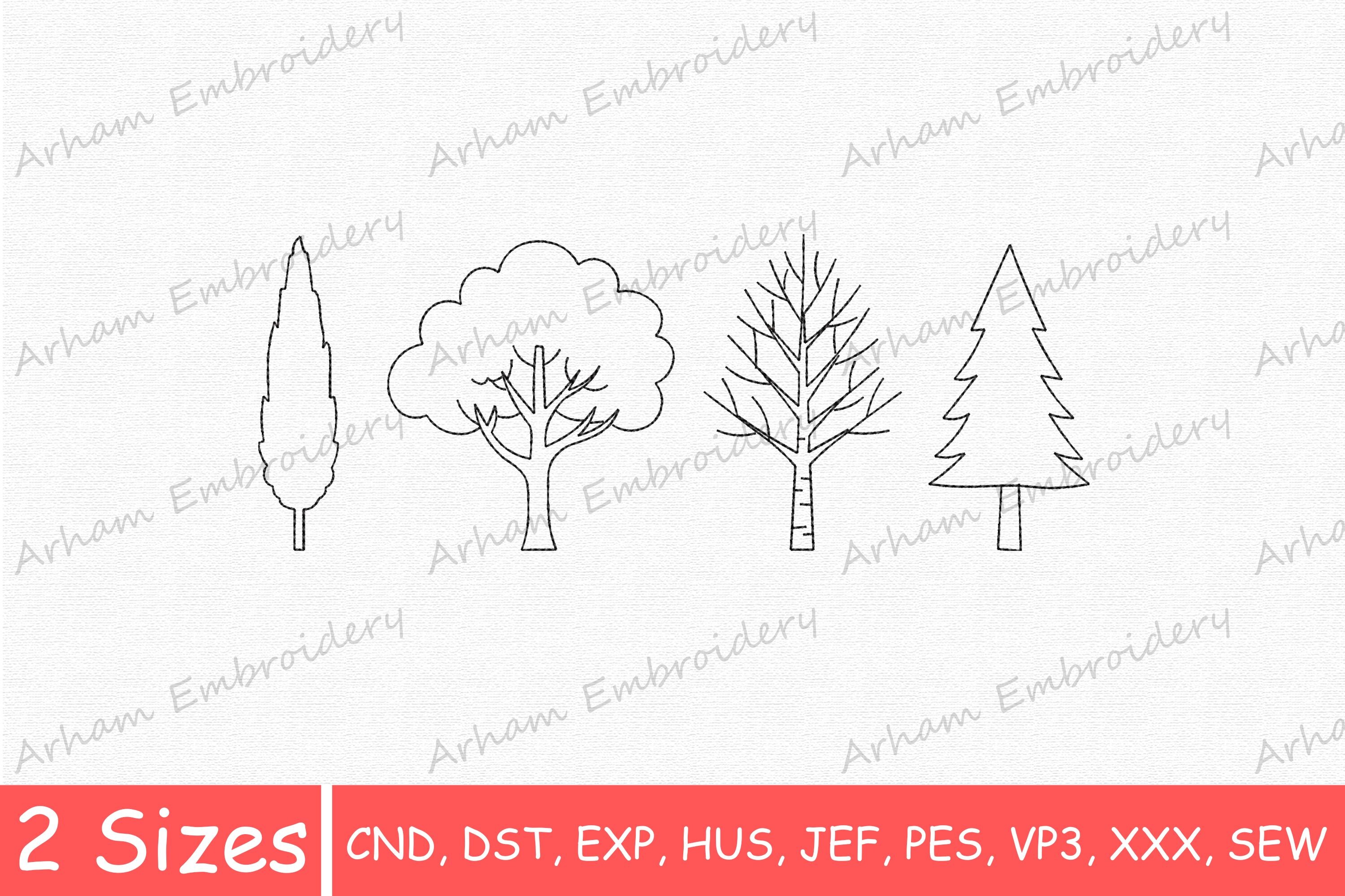 Leafless, Conifer, and Deciduous Tree