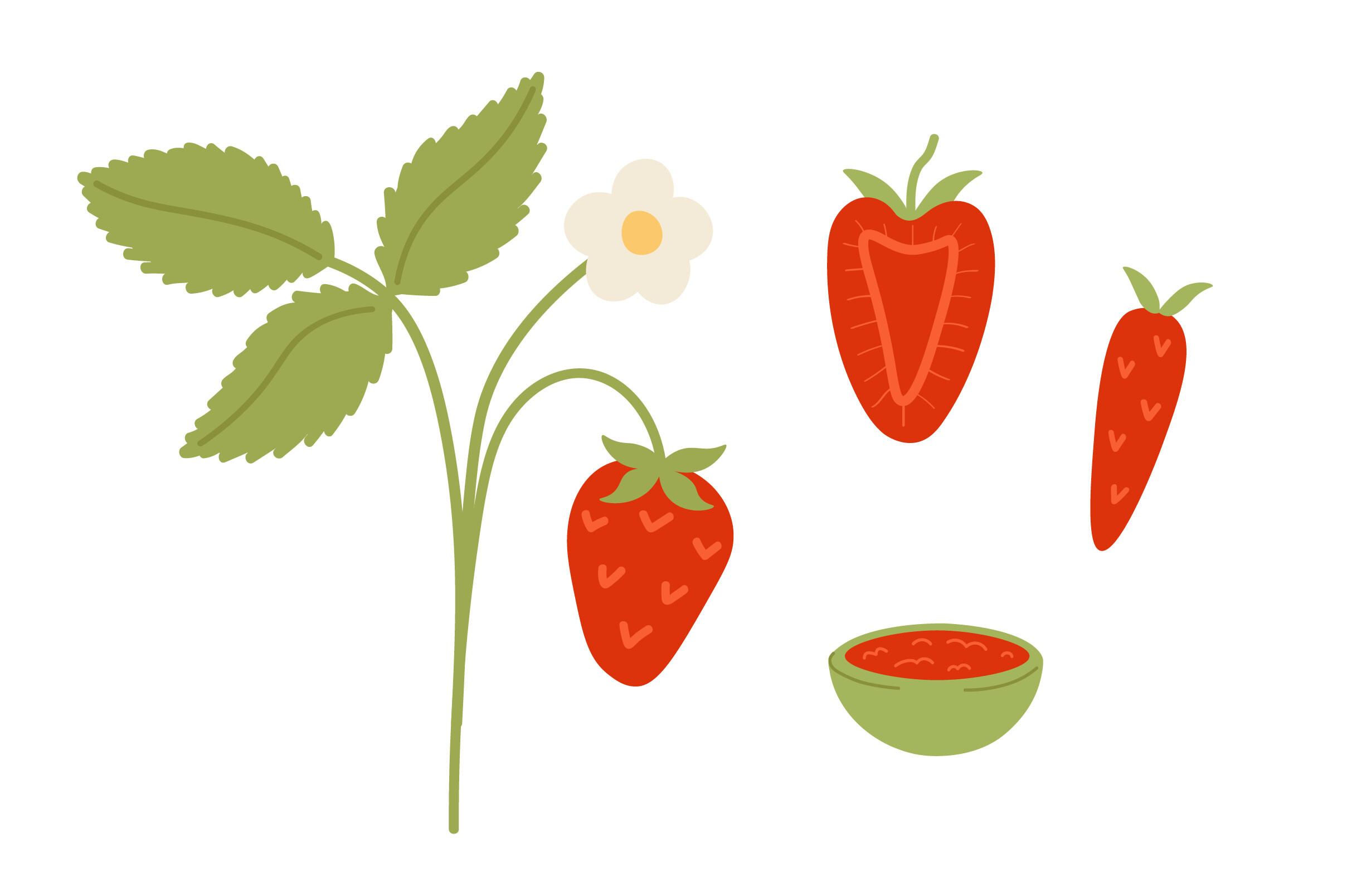 Strawberry Flat Illustration Set