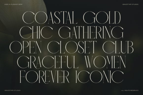 Anora Carmeo Font - Preview 2