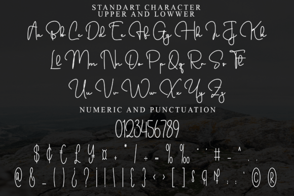 Belgian Signature Font - Preview 3