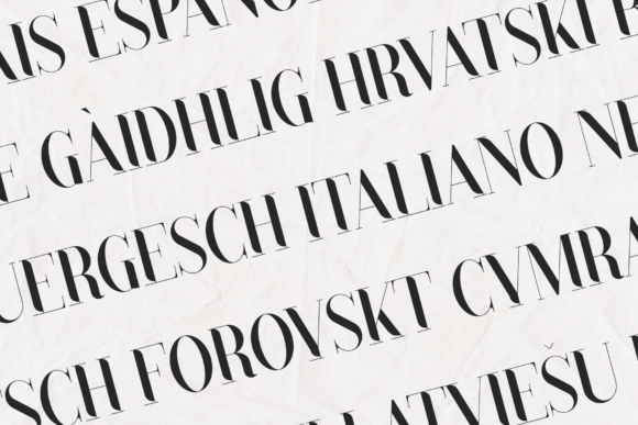Black Goose Font - Preview 2
