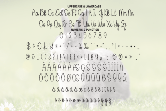 Bunny Font - Preview 6