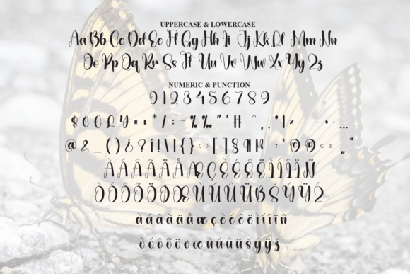 Butterfly Font - Preview 6
