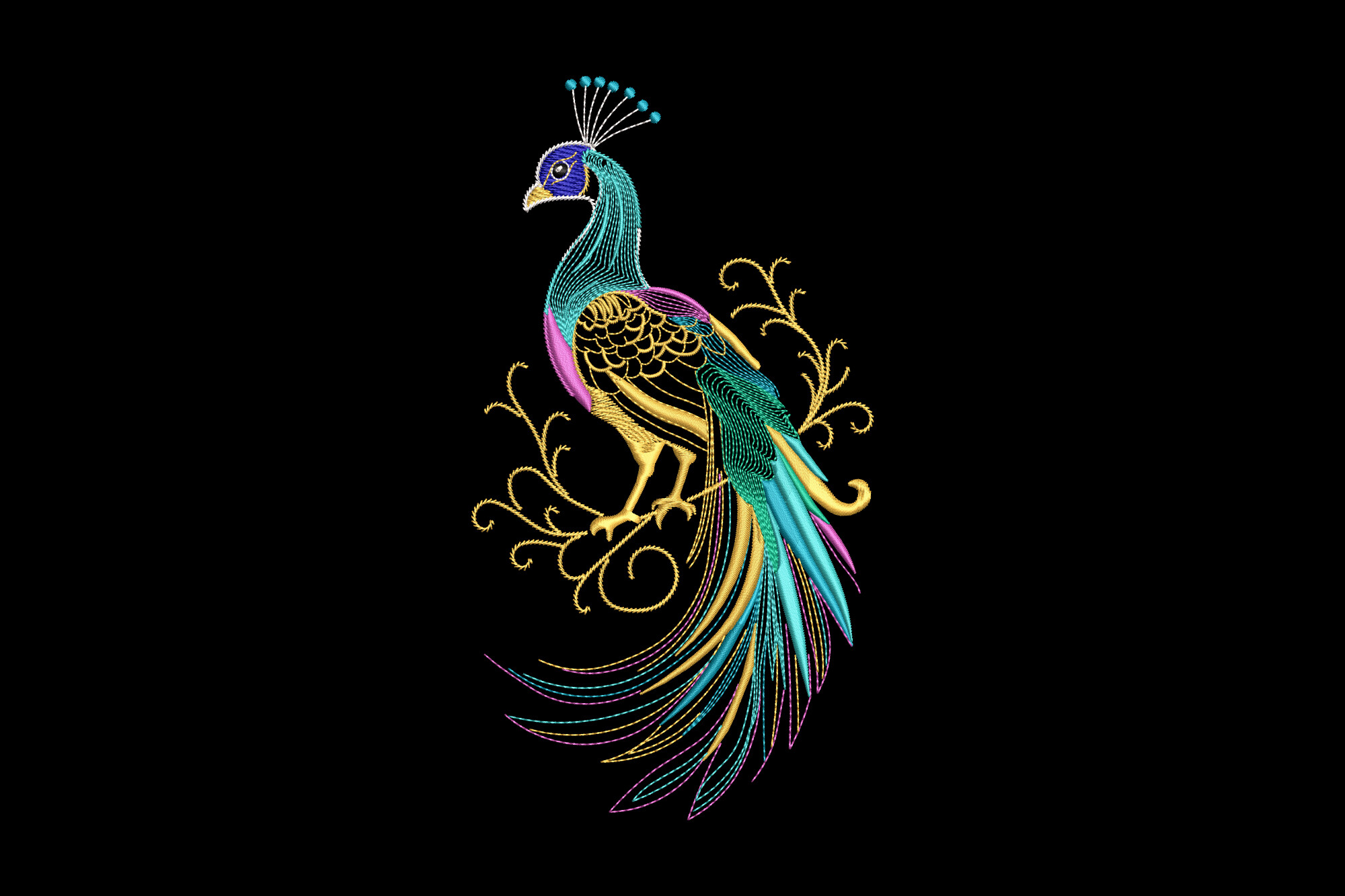 Colorful Peacock
