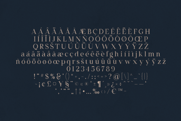 Creators Type Gothic Edition Font PNG with transparent background - Preview 4