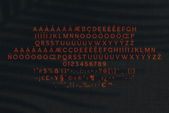Esquie Font - Preview 4
