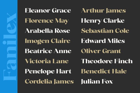 Fanilex Font - Preview 5