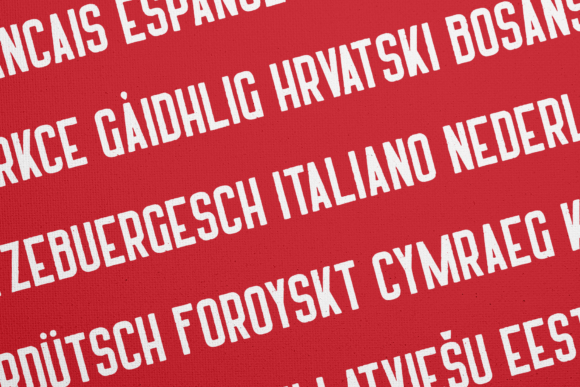 Harrison Font - Preview 2