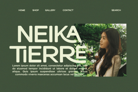Heroxin Font PNG with transparent background - Preview 2