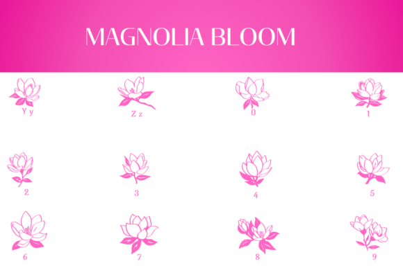 Magnolia Bloom Font PNG with transparent background - Preview 3