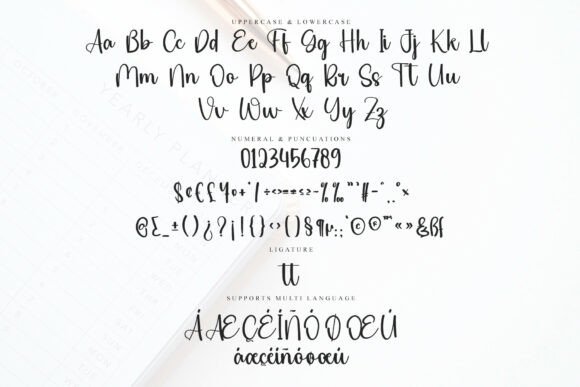 Autographer Font - Preview 5