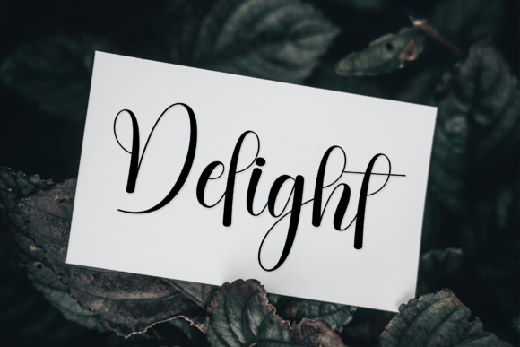 Backline Font - Preview 4
