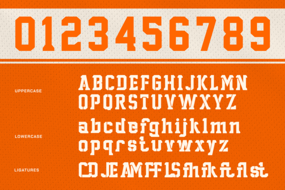 Champior Font - Preview 1