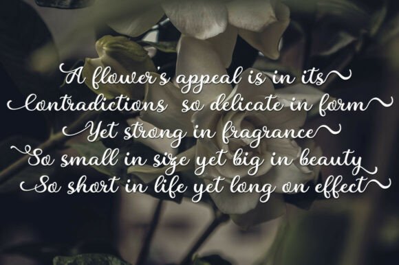 Charline Font - Preview 4