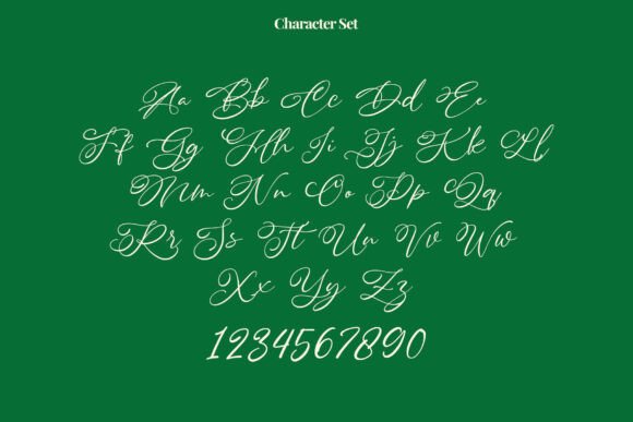 Daisy Wonder Font - Preview 2