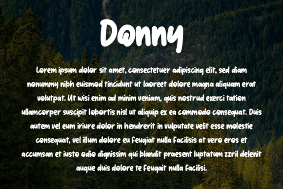Donny Font - Preview 2