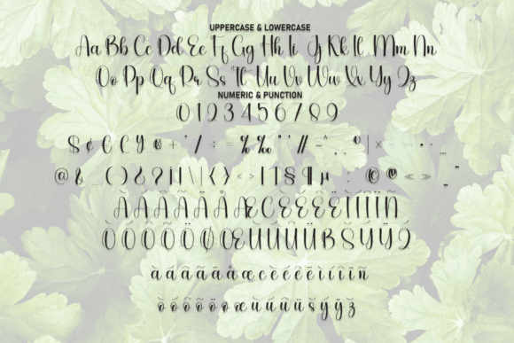 Angelica Font - Preview 6