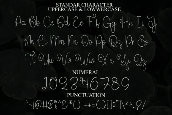 Beauty Wonderful Font - Preview 1