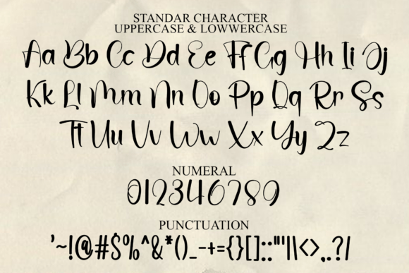 Branding Magnolia Font - Preview 6