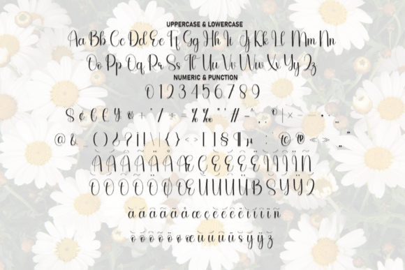 Daisy Font - Preview 6
