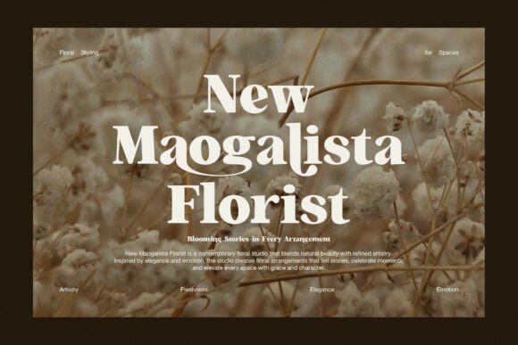 Magen Font PNG with transparent background - Preview 3