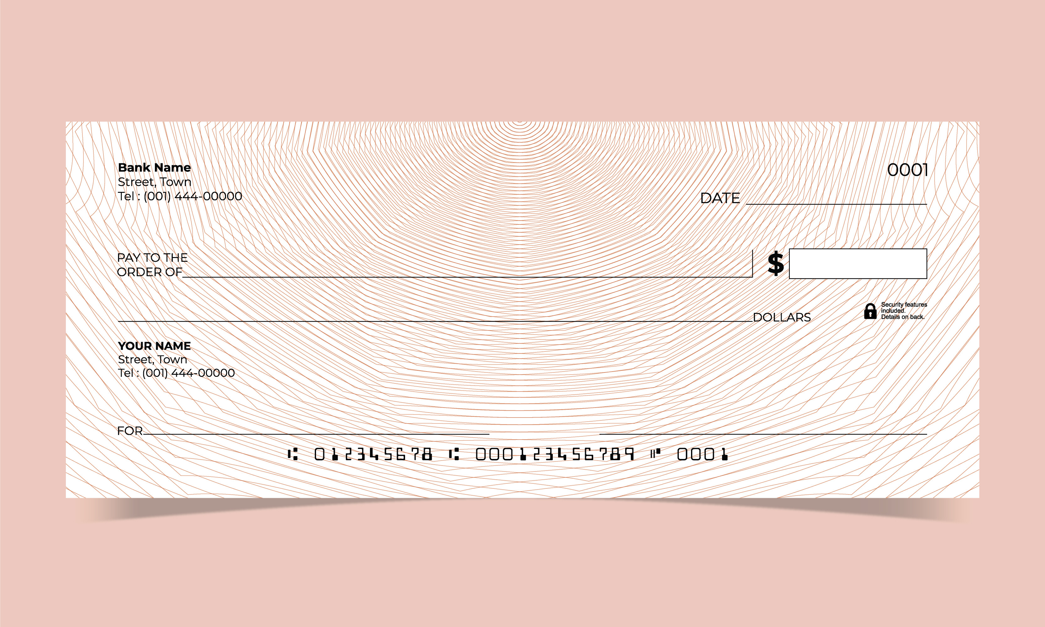 Bank Check Vector Template
