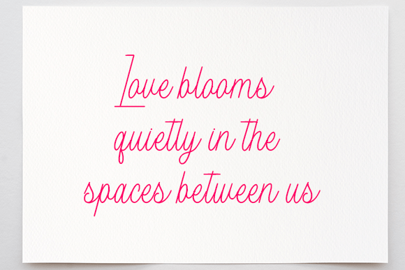 Bellevines Font - Preview 1